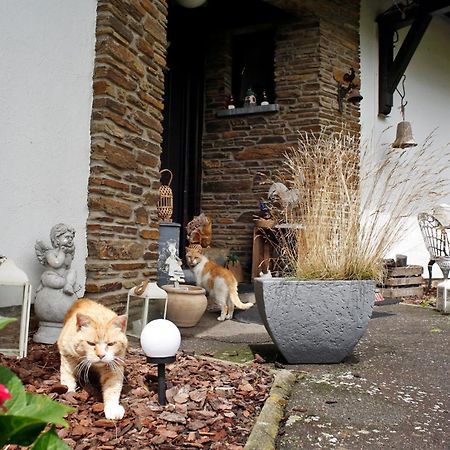 B&B Au Coq En Pate Jalhay Kültér fotó